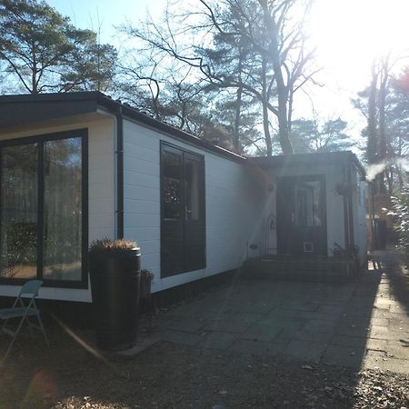 IJhorst Wulft 47 Zonnig Gezellig 6P Chalet Met Zwembad In Bosrijke Omgeving Op Familie Camping De Vossenburcht מראה חיצוני תמונה
