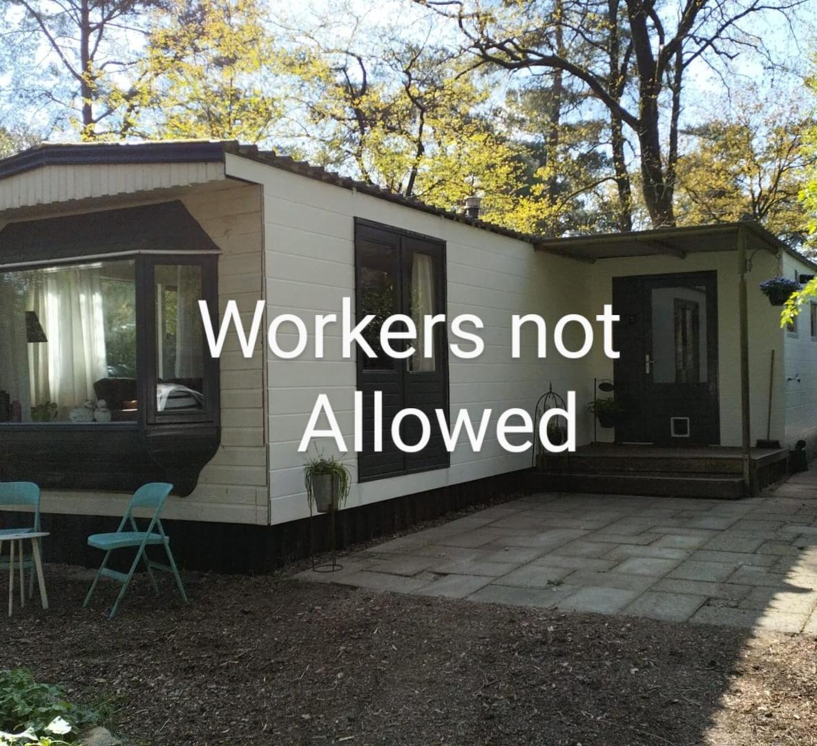 IJhorst Wulft 47 Zonnig Gezellig 6P Chalet Met Zwembad In Bosrijke Omgeving Op Familie Camping De Vossenburcht מראה חיצוני תמונה