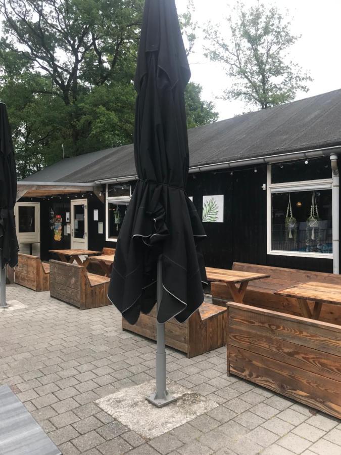 IJhorst Wulft 47 Zonnig Gezellig 6P Chalet Met Zwembad In Bosrijke Omgeving Op Familie Camping De Vossenburcht מראה חיצוני תמונה